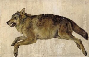 Erlegter Wolf