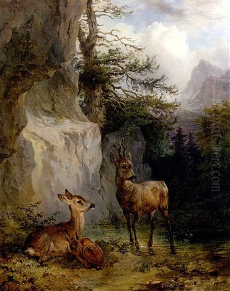 Rehbock, Geis Und Kitz An Einem Kleinem Gebirgsweiher - view 1