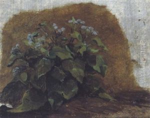 Bluhende Klette