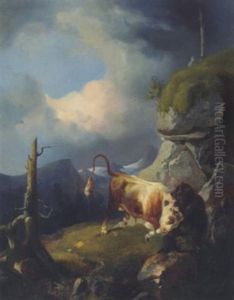 Ein Stier Kampft Mit Einem Baren