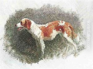 Jagdhund Jagdhund