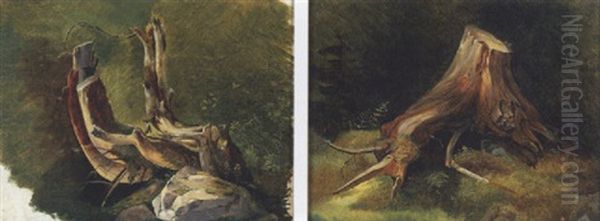 Study For A Tree Stump - view 1