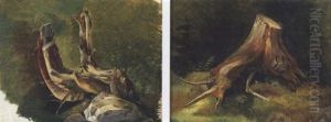 Study For A Tree Stump by Friedrich Gauermann