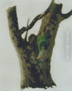 Baum Baum