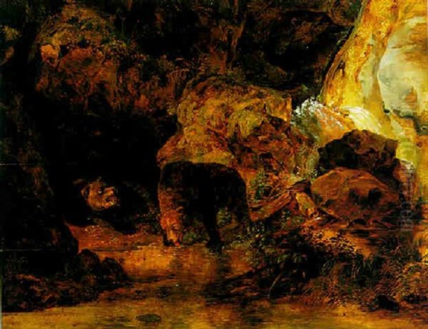Zwei Baren An Einem Wasserfall - view 1