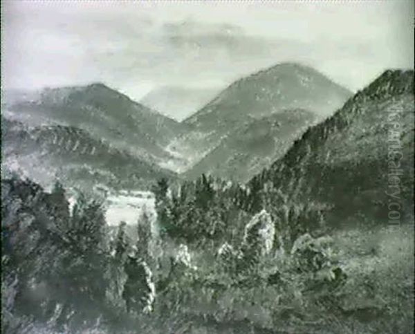 Blick Auf Die Rax Und Umgebung - view 1