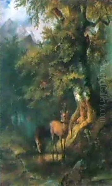 Rehe An Der Tranke - view 1