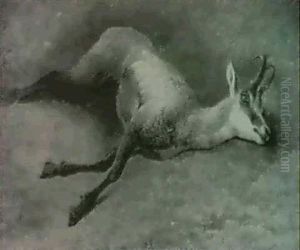 Gamsbock