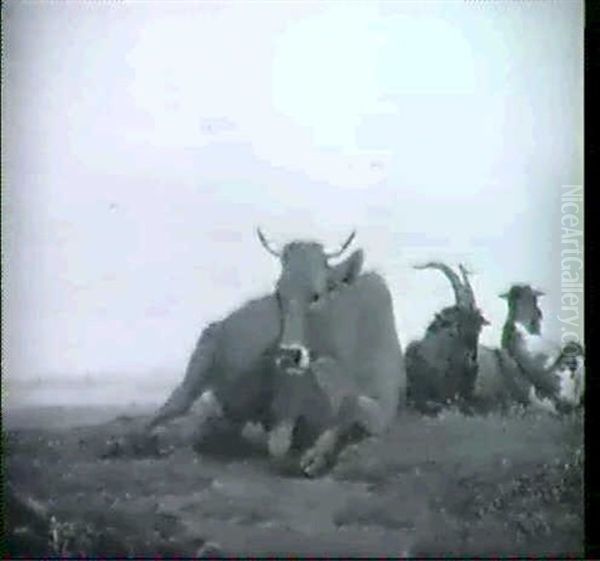 Liegende Tiergruppe In Weiter Landschaft - view 1