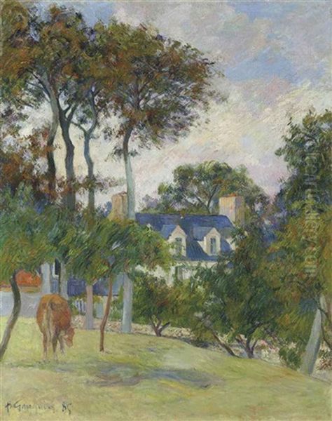 La Maison Blanche - view 1