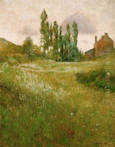 Course De Chiens Dans La Prairie