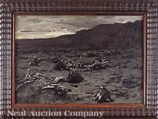 Bison Graveyard - view 1