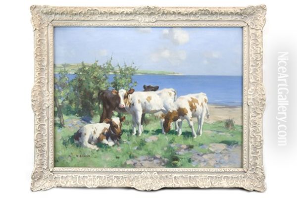 Calves In Sunshine By The Water - view 1