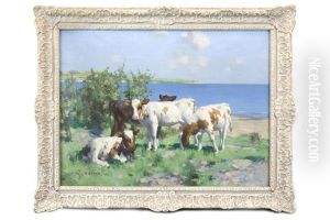 Calves In Sunshine By The Water