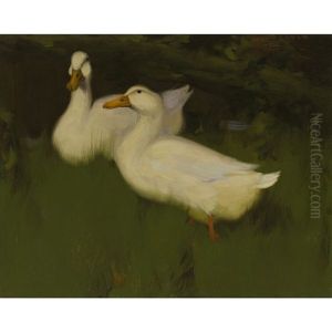 Ducks On A Bank by David Gauld
