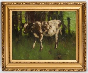Quiet Calf