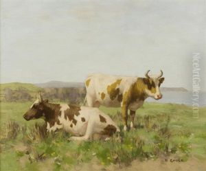 Cattle by David Gauld