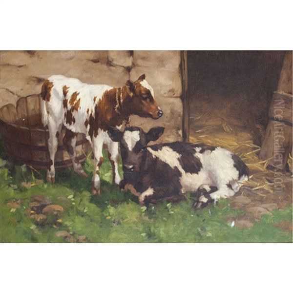 Calves Outside A Byre - view 1