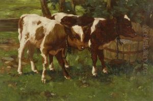 Two Calves Watering by David Gauld