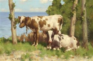 Calves By The Sea