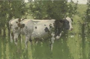 Ayrshire Cows by David Gauld