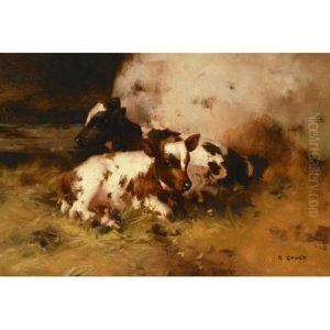 Ayrshire Calves In A Stable