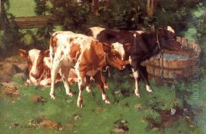 Calves By A Waterbutt Calves By A Waterbutt