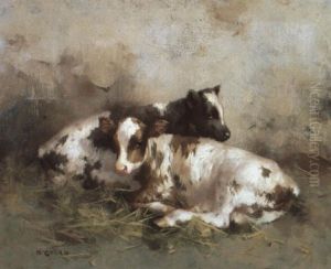 Ayrshire Calves In A Barn