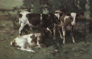 Calves By A Water Trough