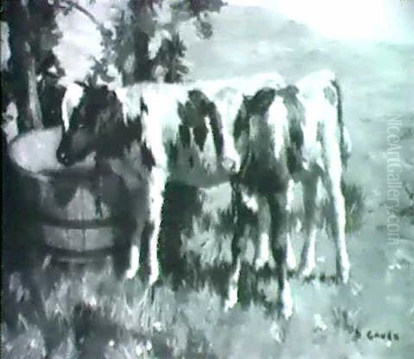 Calves By A Trough - view 1