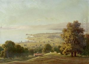 Ansicht Des Genfersees
