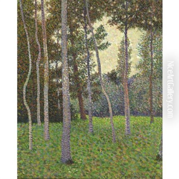 Forest Scene (undergrowth) - view 1