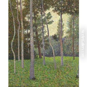 Forest Scene (undergrowth)