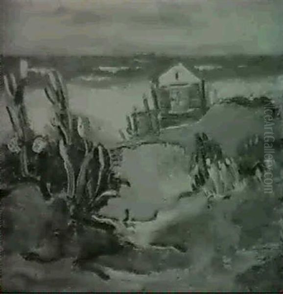 Dunenlandschaft - view 1