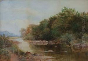 River
Scene River
Scene