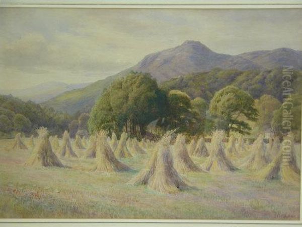 A Cornfield In Wales - view 1