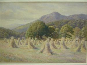 A Cornfield In Wales
