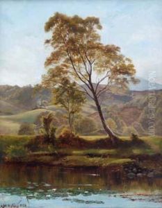 R.cam.a. , Rural River Scene R.cam.a. , Rural River Scene