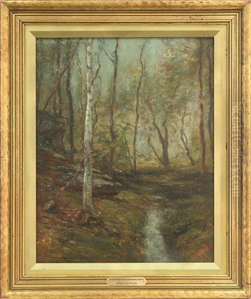 Woodland Stream Through Shawangunk Mountains - view 1