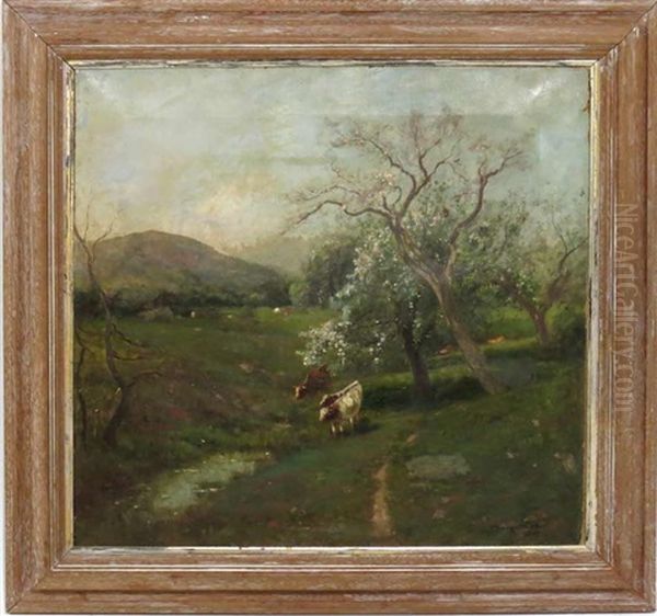 Cows Under Apple Trees - view 1
