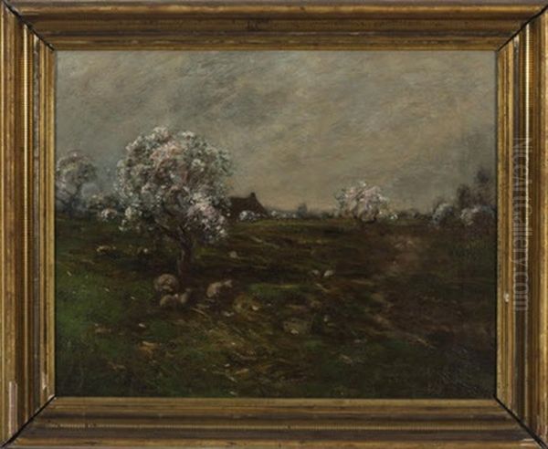 Spring Landscape With Sheep - view 1