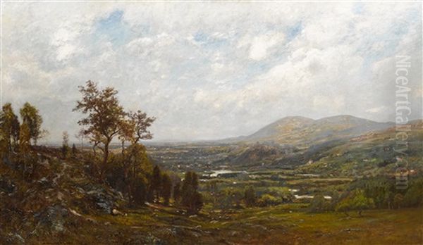Panoramic Landscape - view 1