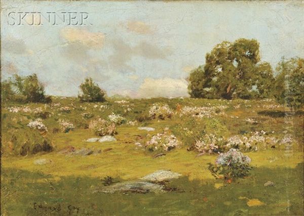 Fields - view 1