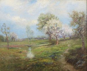 Summer Landscape Summer Landscape