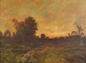 Luminous Sunset