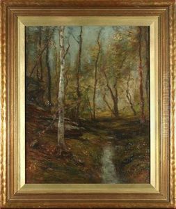 Woodland Stream Woodland Stream