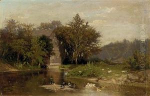 Ducks In A Pond