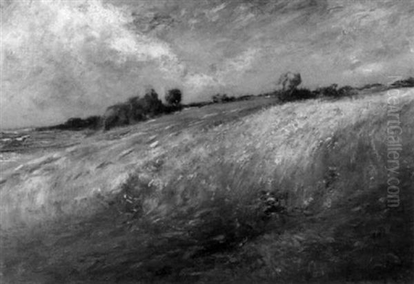 Windy Day - view 1