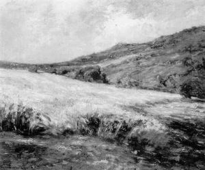Summer Fields