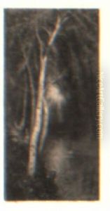 Birches By A Stream